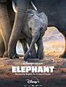 Nonton Elephant 2020 Subtitle Indonesia