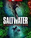 Nonton Saltwater The Battle for Ramree Island 2021 Subtitle Indonesia