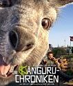 Nonton The Kangaroo Chronicles 2020 Subtitle Indonesia