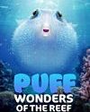 Nonton Puff Wonders of the Reef 2021 Subtitle Indonesia
