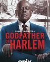 Nonton Godfather of Harlem Season 2