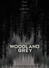Nonton Woodland Grey 2021 Subtitle Indonesia